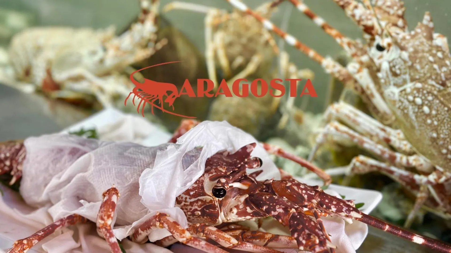Aragosta Hotel & Restaurant Durrës